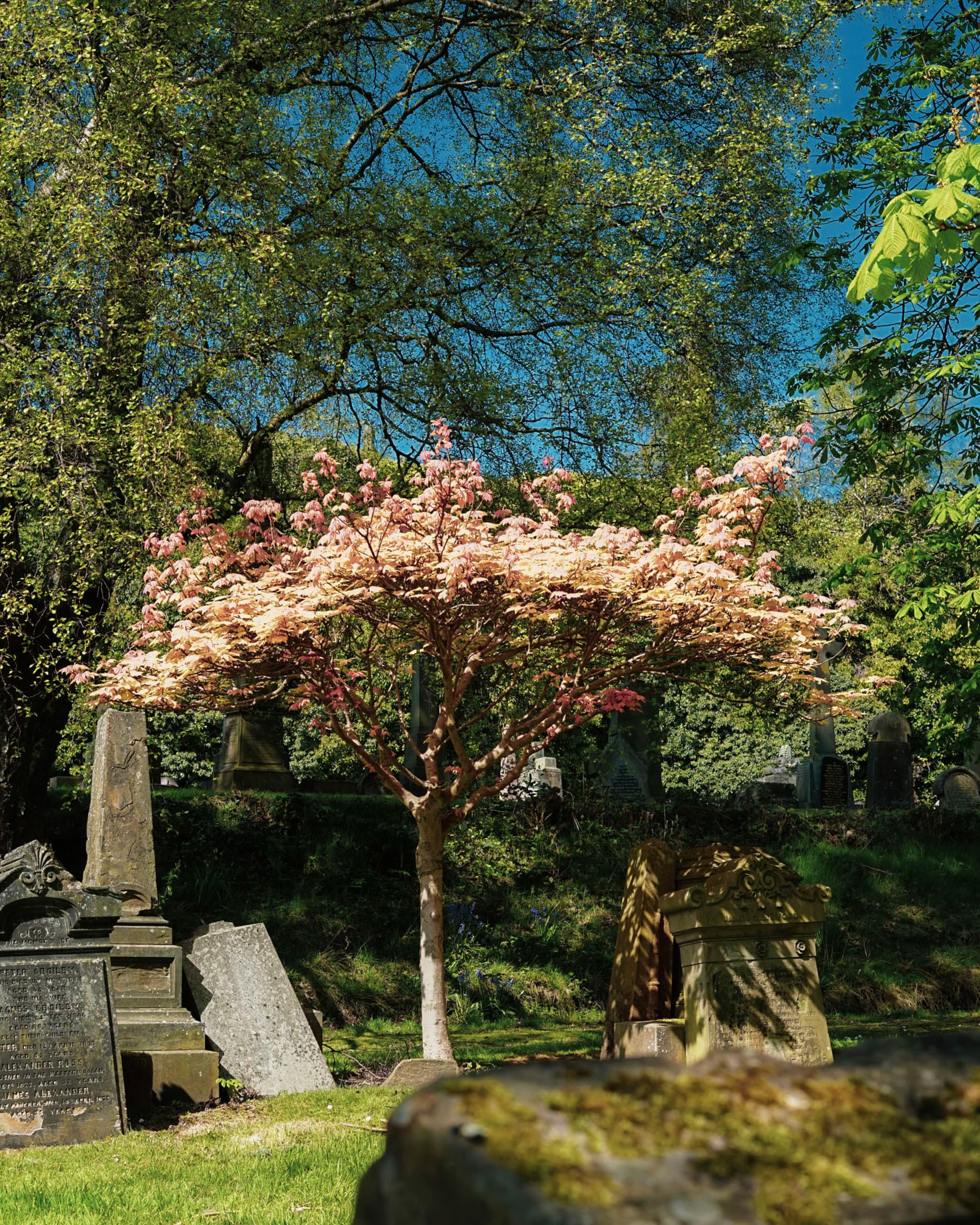 Necropolis